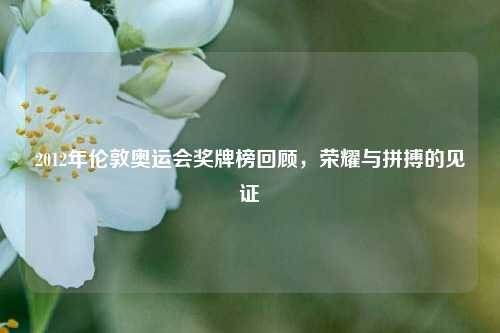 2012年伦敦奥运会奖牌榜回顾，荣耀与拼搏的见证