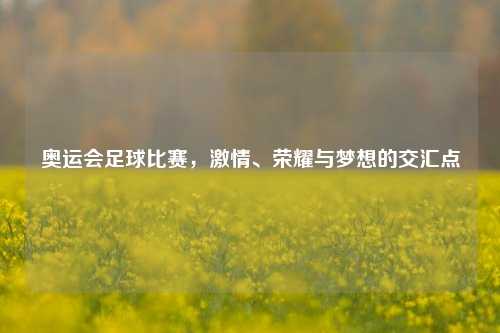 奥运会足球比赛，激情、荣耀与梦想的交汇点