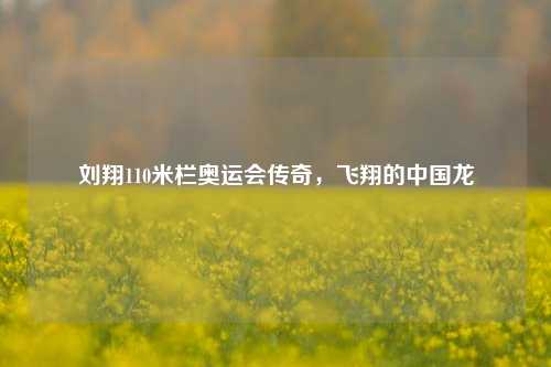 刘翔110米栏奥运会传奇，飞翔的中国龙