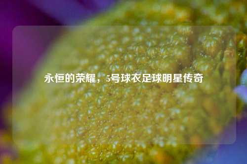 永恒的荣耀，5号球衣足球明星传奇