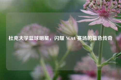 杜克大学篮球明星，闪耀 NCAA 赛场的蓝色传奇