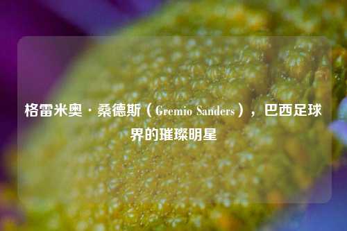 格雷米奥·桑德斯（Gremio Sanders），巴西足球界的璀璨明星