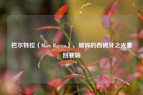 巴尔特拉（Marc Bartra），破碎的西班牙之光重回赛场