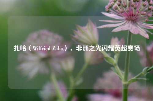 扎哈（Wilfried Zaha），非洲之光闪耀英超赛场